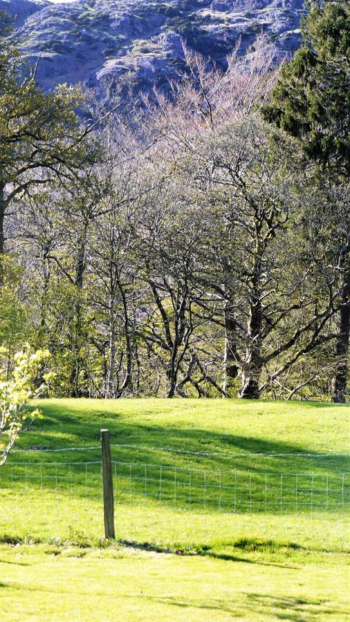 Shepherds Bridge B&B Coniston Exterior foto